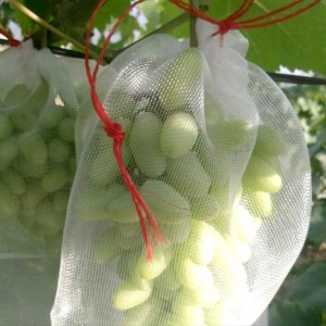 18 sac filet de fruits ensachage anti-insectes anti-oiseaux en nylon 25x15cm