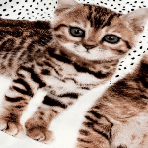 Destock 2.1m tissu viscose rayonne soyeux chatons fond écru largeur 140cm